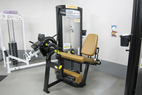 レッグエクステンション